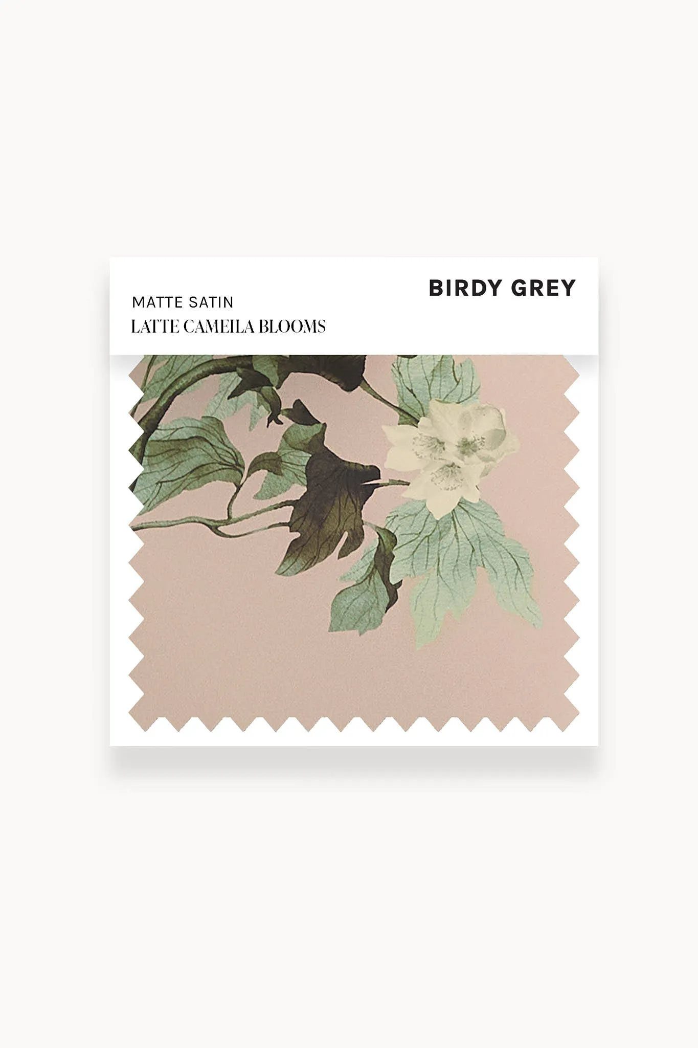Swatch - Matte Satin in Latte Camelia Blooms sold by Birdy Grey
