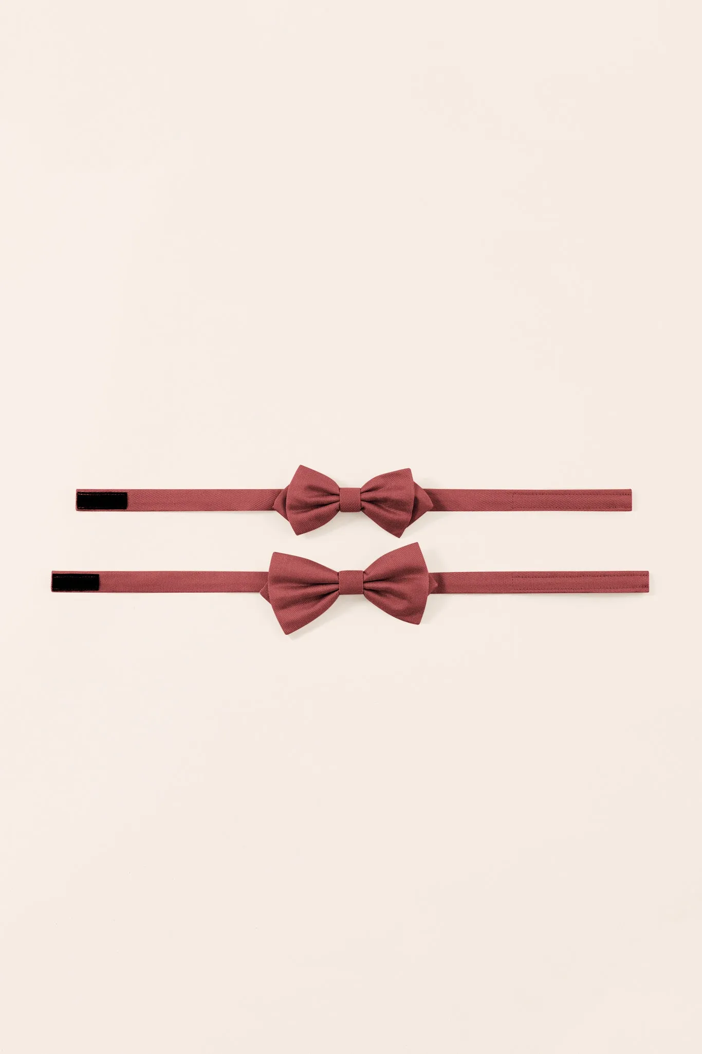 Harry Bow Tie - Spice sold by Birdy Grey product image thumbnail 3