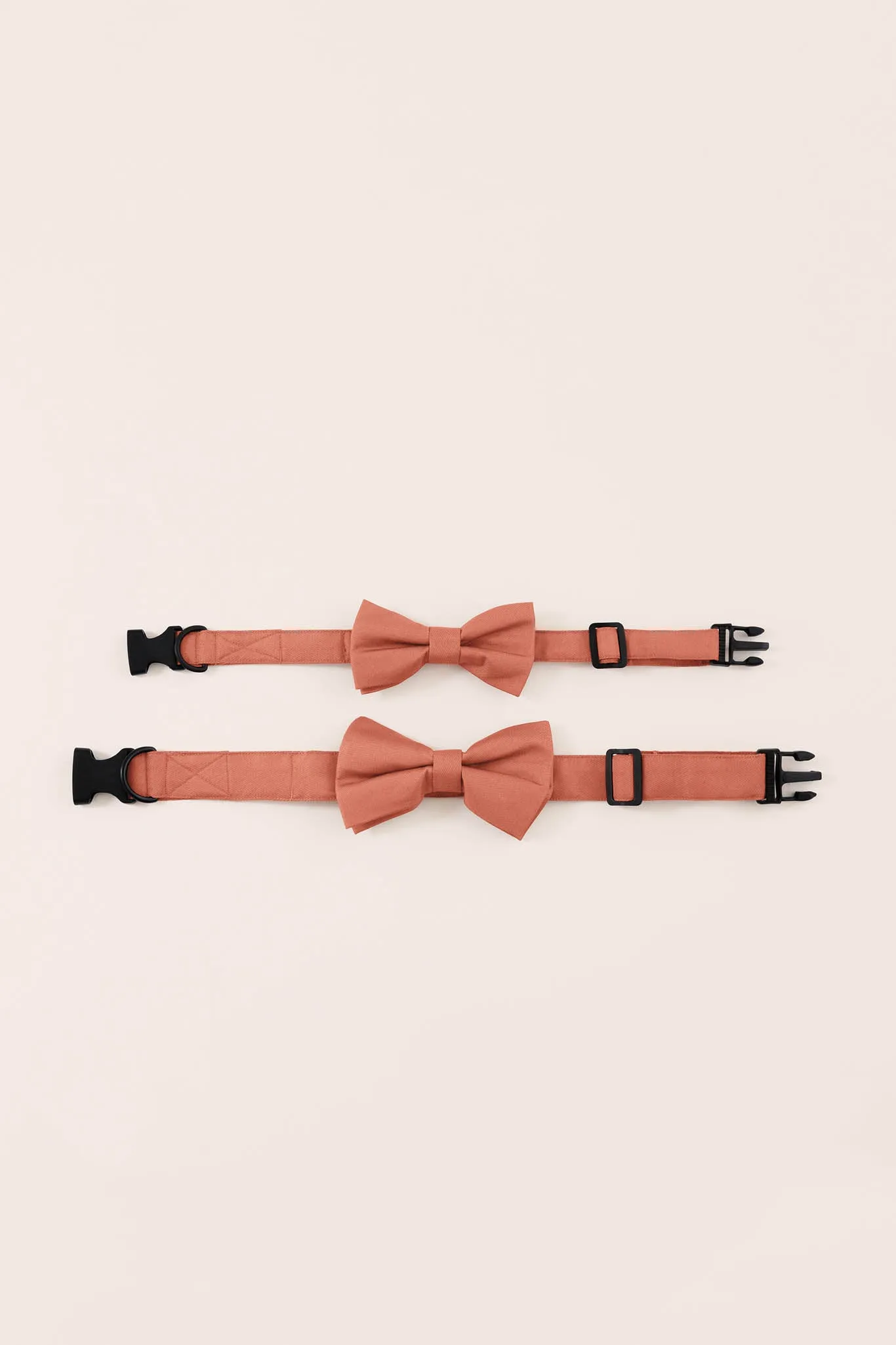 Sadie Dog Collar - Terracotta sold by Birdy Grey product image thumbnail 3