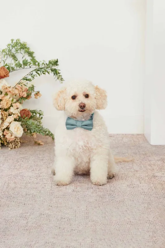 Sadie Pet Bow Tie - Sea Glass sold by Birdy Grey