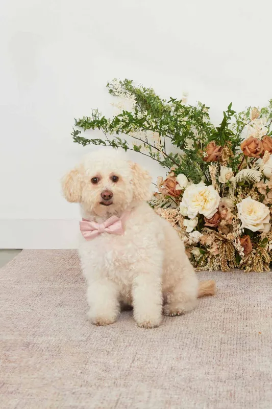Sadie Pet Bow Tie - Dusty Rose sold by Birdy Grey