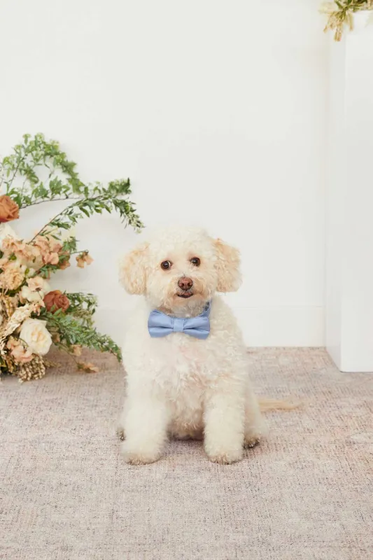 Sadie Pet Bow Tie - Dusty Blue sold by Birdy Grey