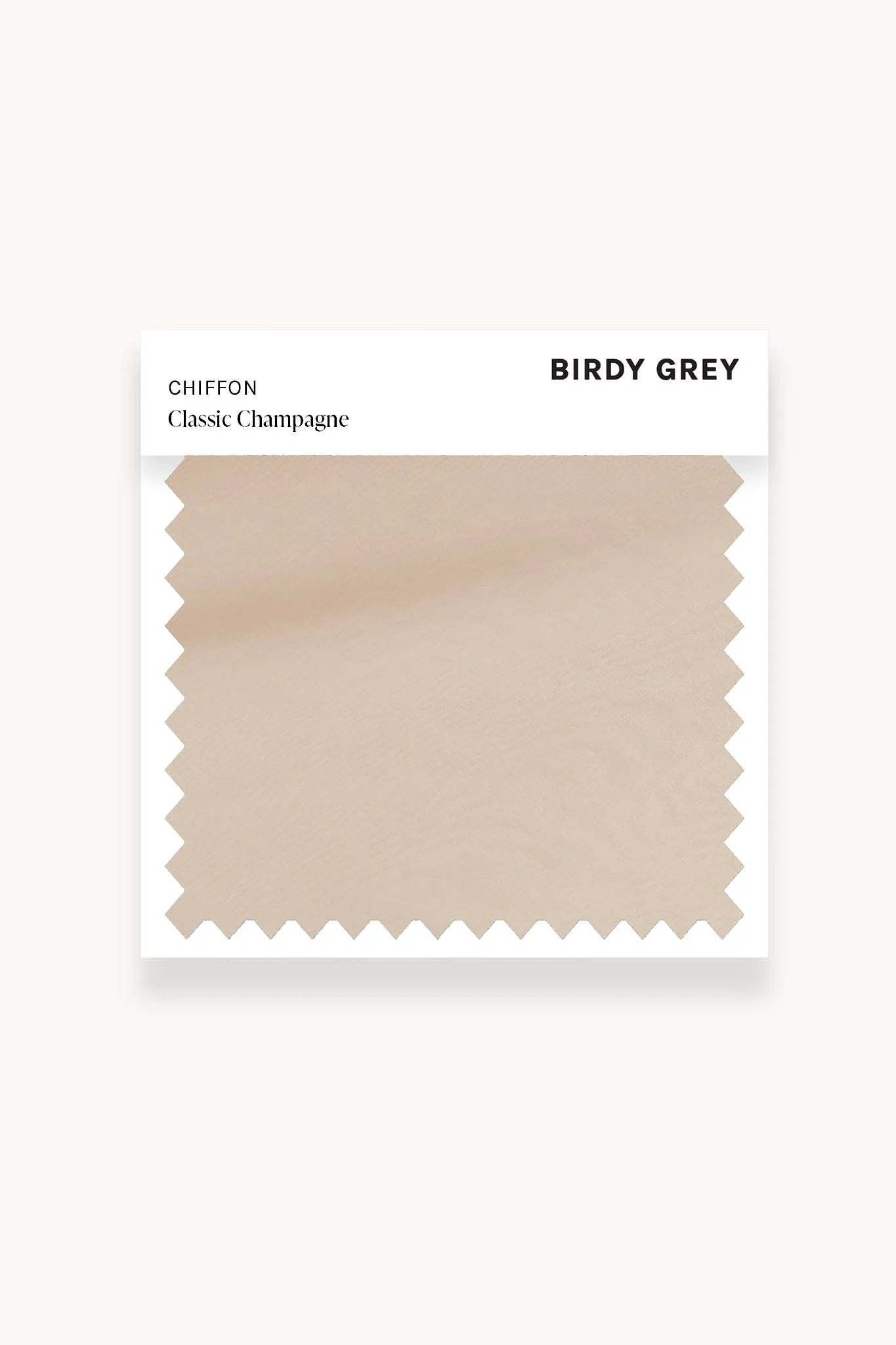 Swatch - Chiffon in Classic Champagne sold by Birdy Grey