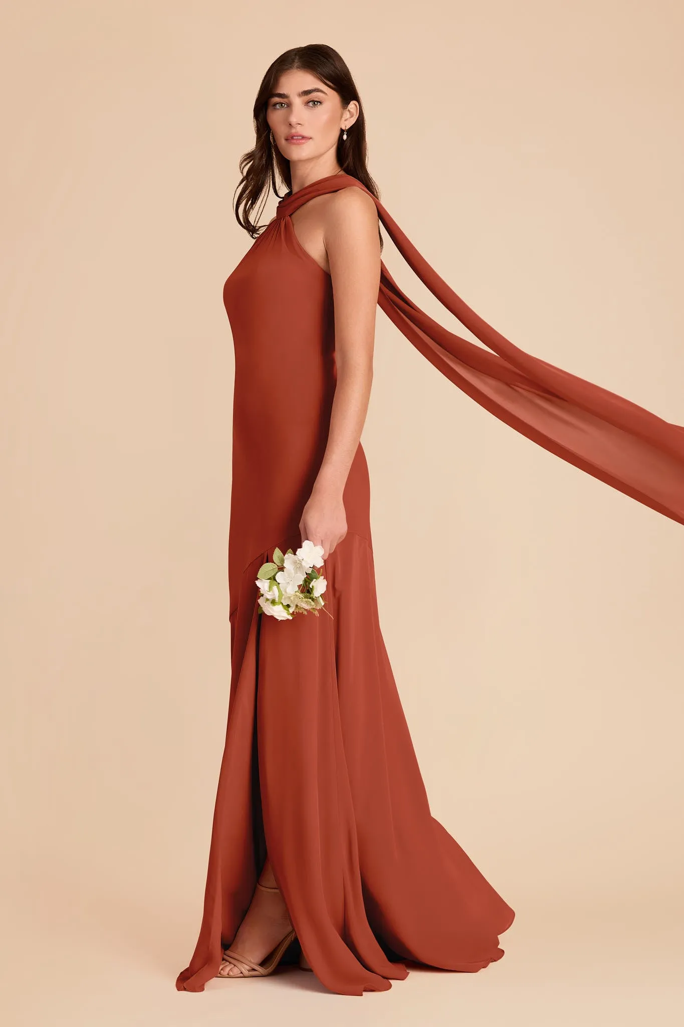 Eileen Chiffon Dress - Auburn sold by Birdy Grey product image thumbnail 3