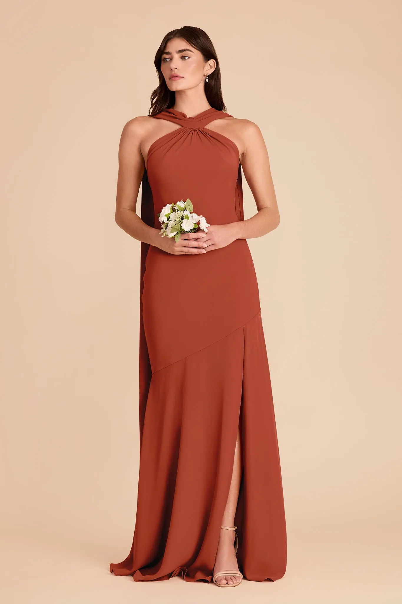 Eileen Chiffon Dress - Auburn sold by Birdy Grey product image thumbnail 4