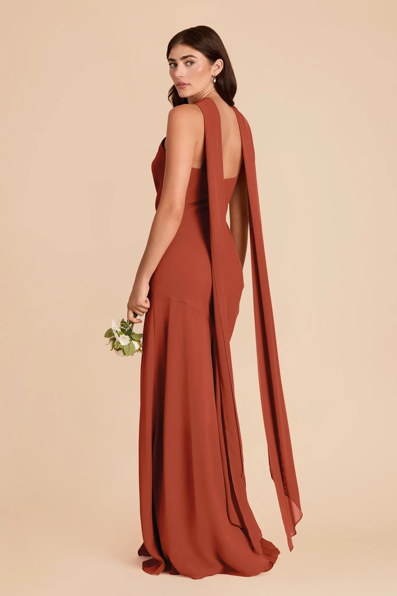 Eileen Chiffon Dress - Auburn sold by Birdy Grey product image thumbnail 5