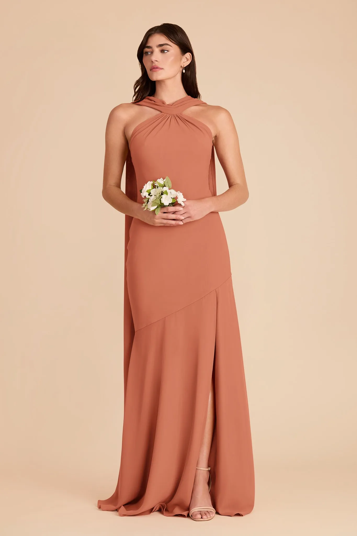 Eileen Chiffon Dress - Terracotta sold by Birdy Grey product image thumbnail 4