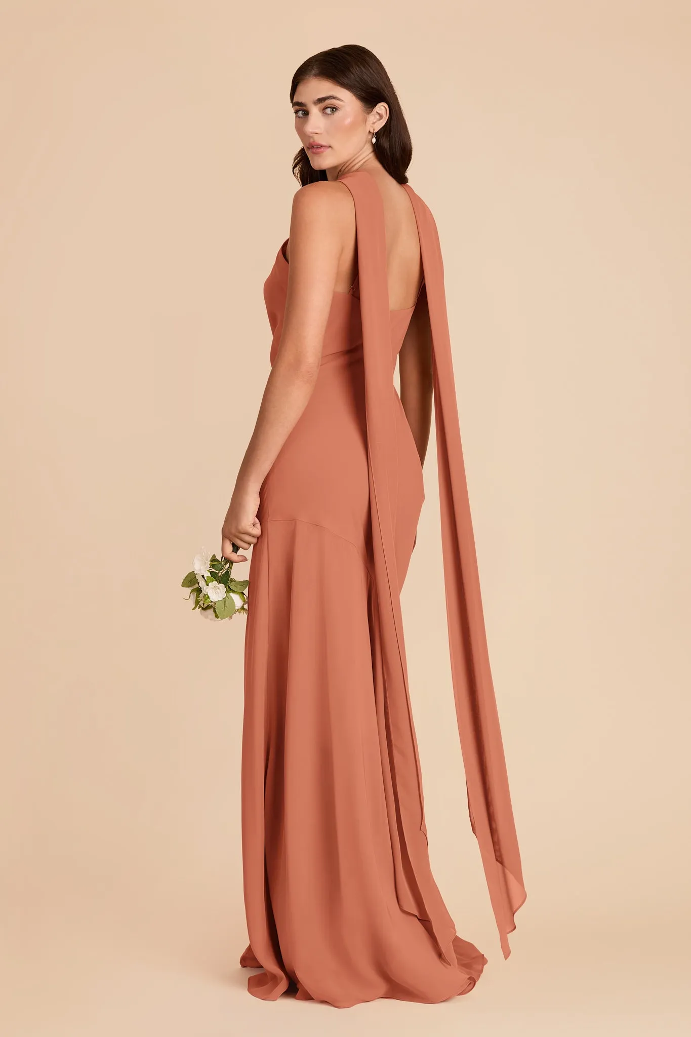 Eileen Chiffon Dress - Terracotta sold by Birdy Grey product image thumbnail 5