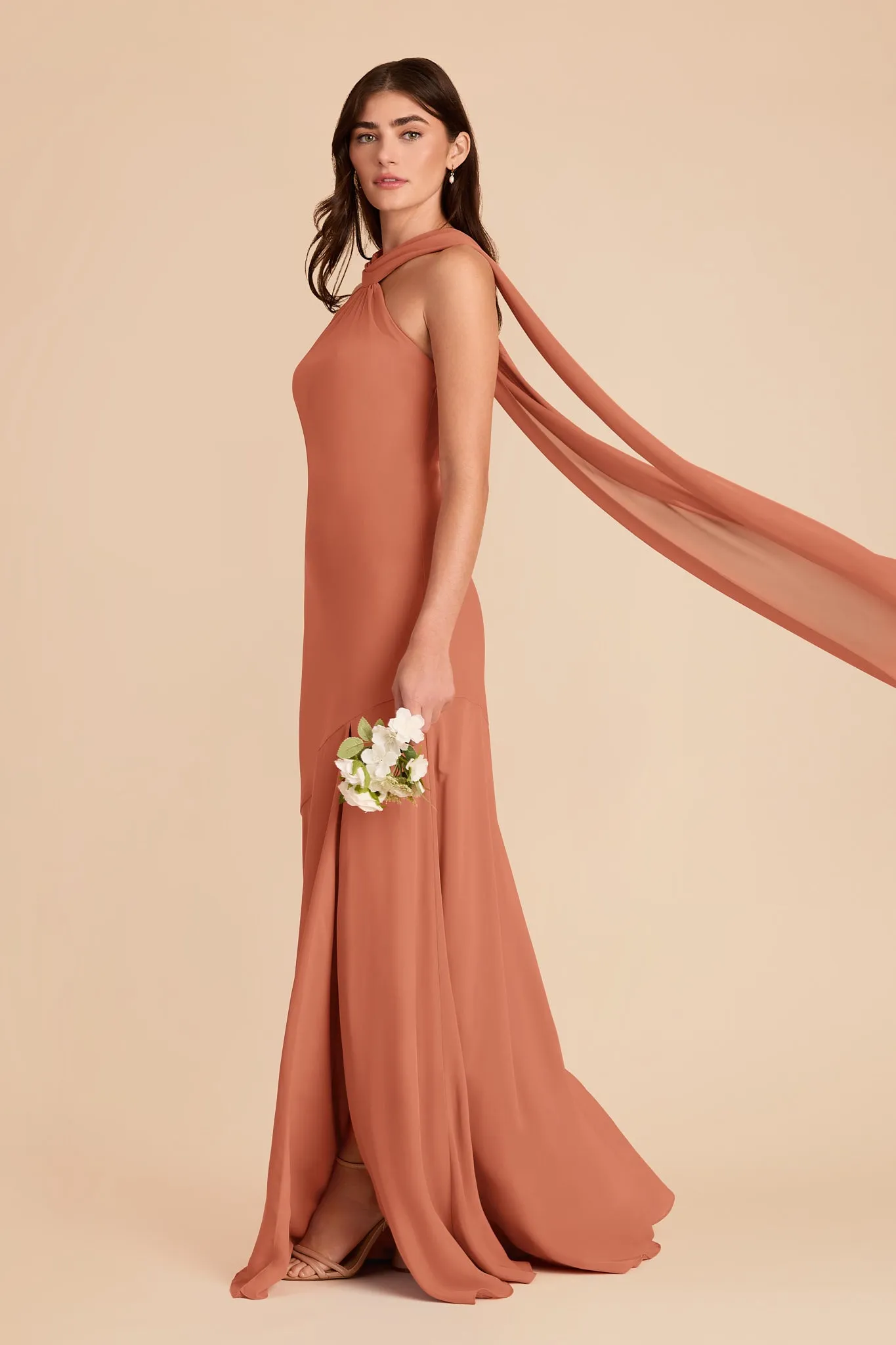 Eileen Chiffon Dress - Terracotta sold by Birdy Grey product image thumbnail 3