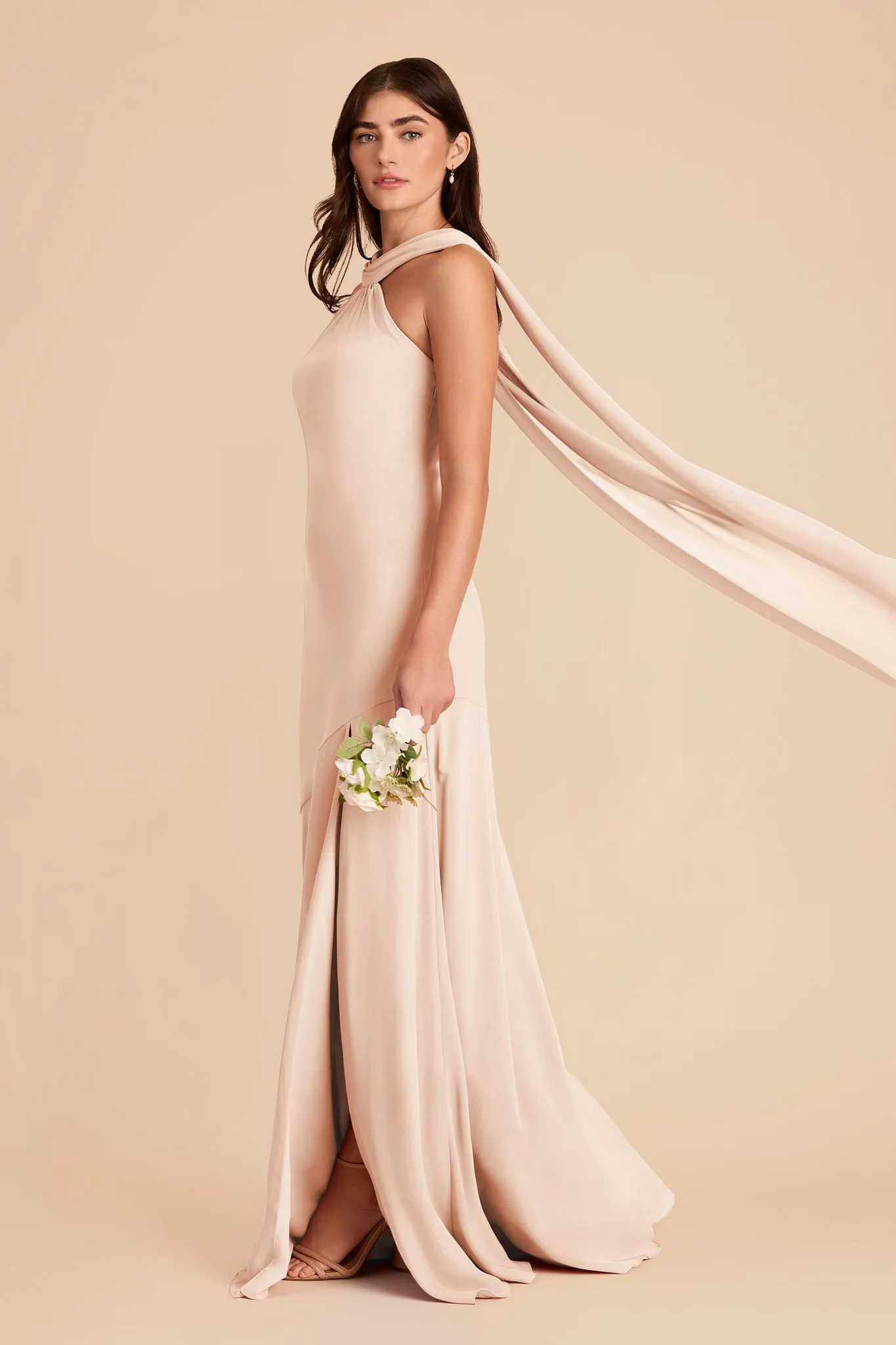 Eileen Chiffon Dress - Pale Blush sold by Birdy Grey product image thumbnail 3