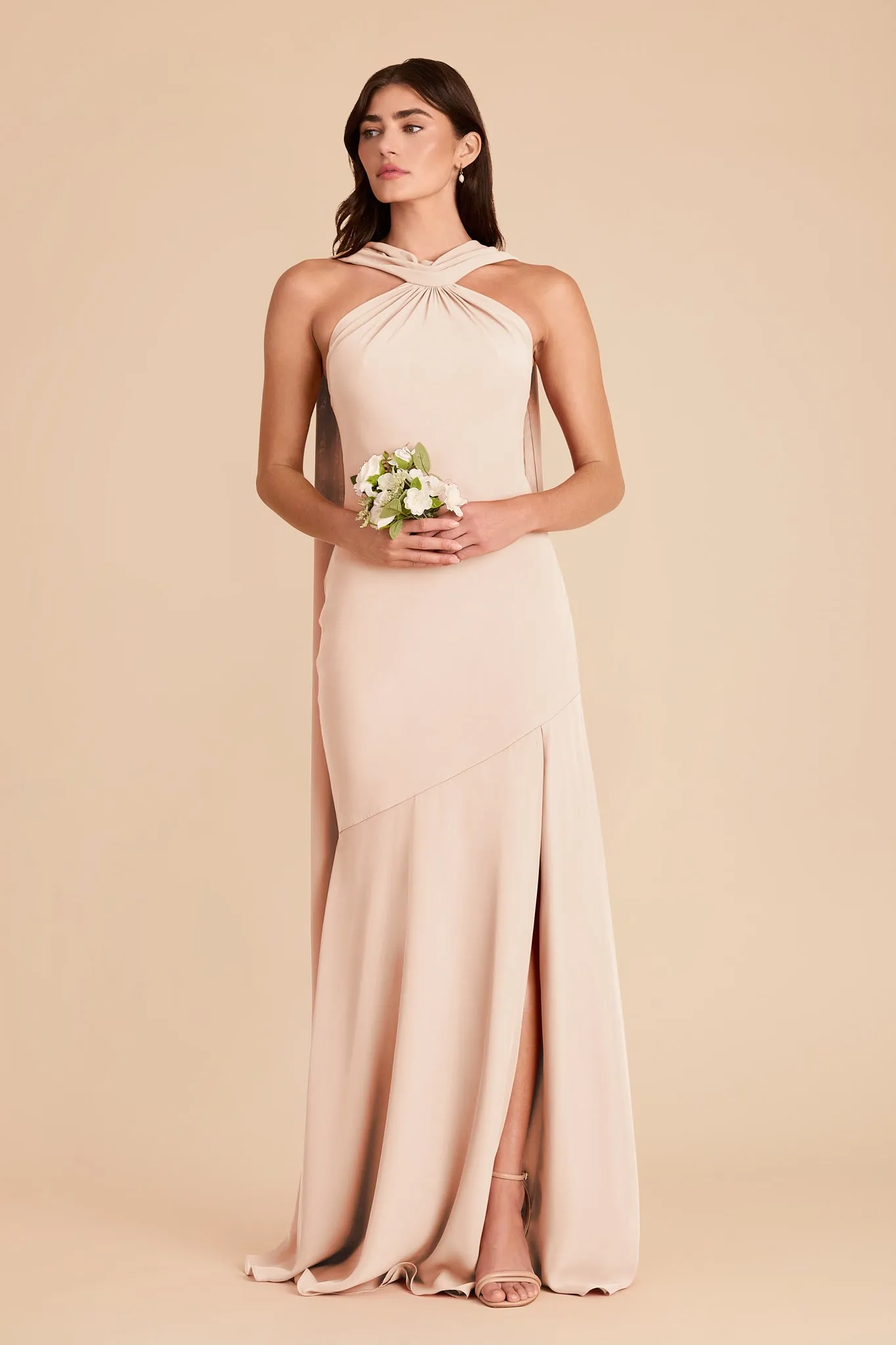 Eileen Chiffon Dress - Pale Blush sold by Birdy Grey product image thumbnail 4