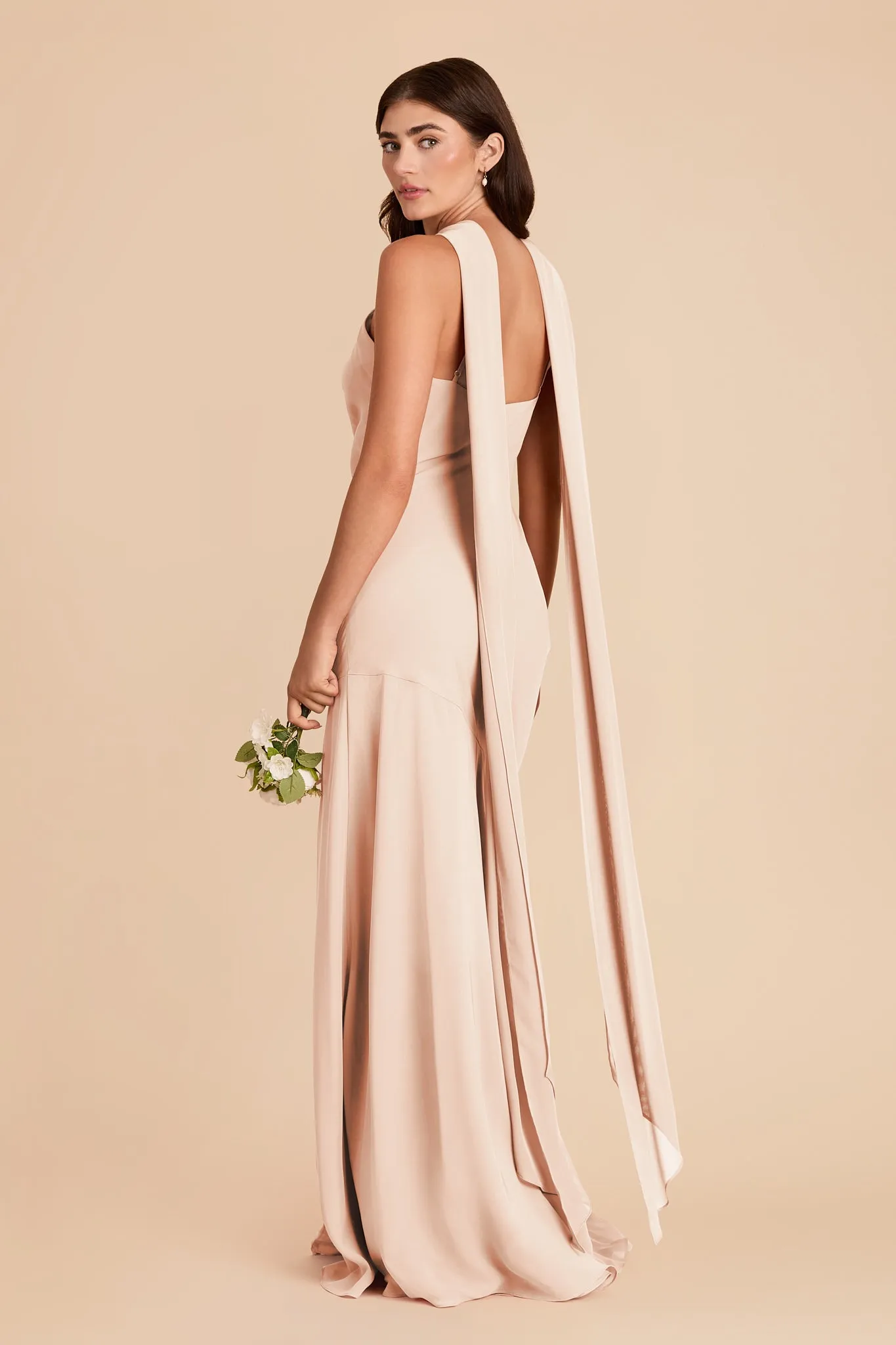 Eileen Chiffon Dress - Pale Blush sold by Birdy Grey product image thumbnail 5