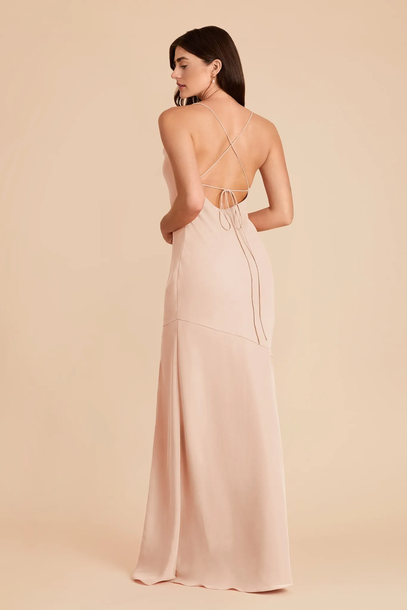 Olivia Chiffon Dress - Pale Blush sold by Birdy Grey product image thumbnail 4