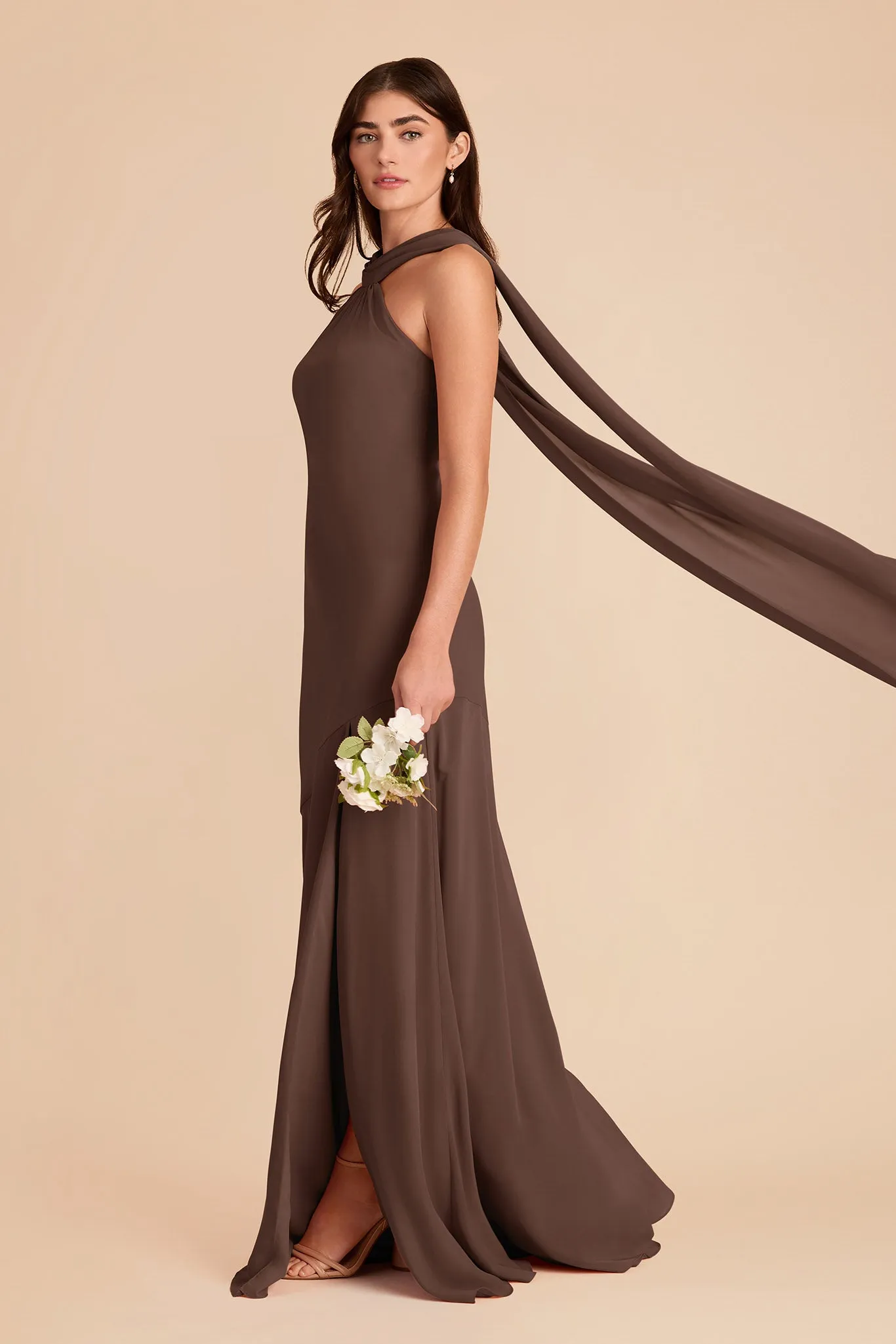 Eileen Chiffon Dress - Chocolate Brown sold by Birdy Grey product image thumbnail 3