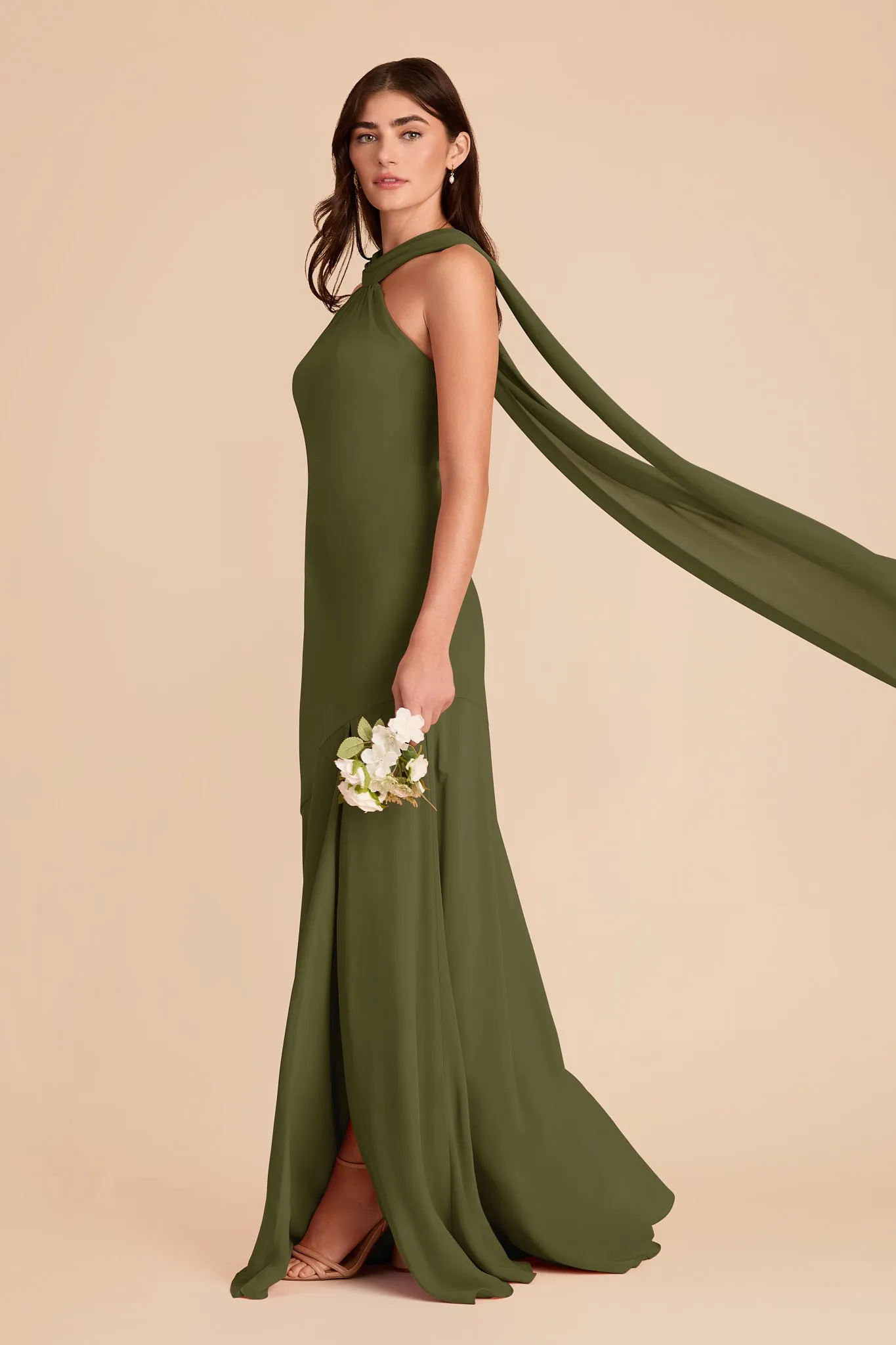 Eileen Chiffon Dress - Martini sold by Birdy Grey product image thumbnail 3