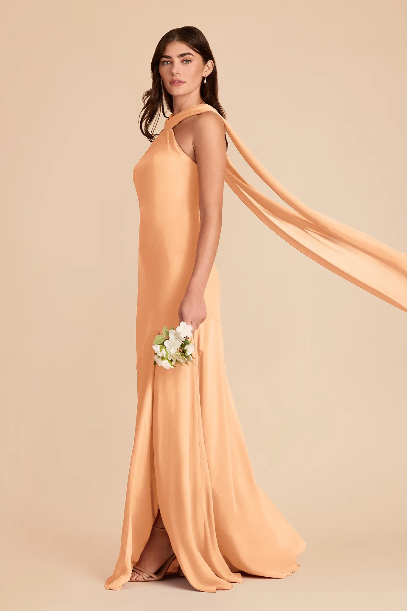 Eileen Chiffon Dress - Peach sold by Birdy Grey product image thumbnail 3