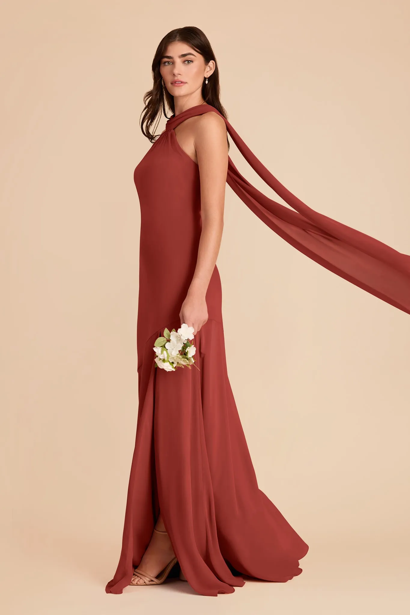 Eileen Chiffon Dress - Spice sold by Birdy Grey product image thumbnail 4