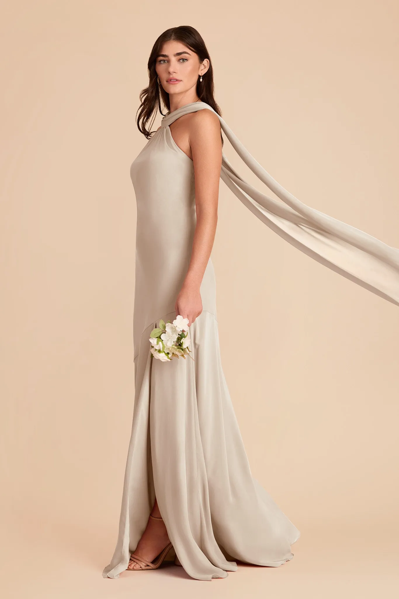 Eileen Chiffon Dress - Classic Champagne sold by Birdy Grey product image thumbnail 3