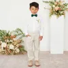 Harry Bow Tie - Emerald sold by Birdy Grey