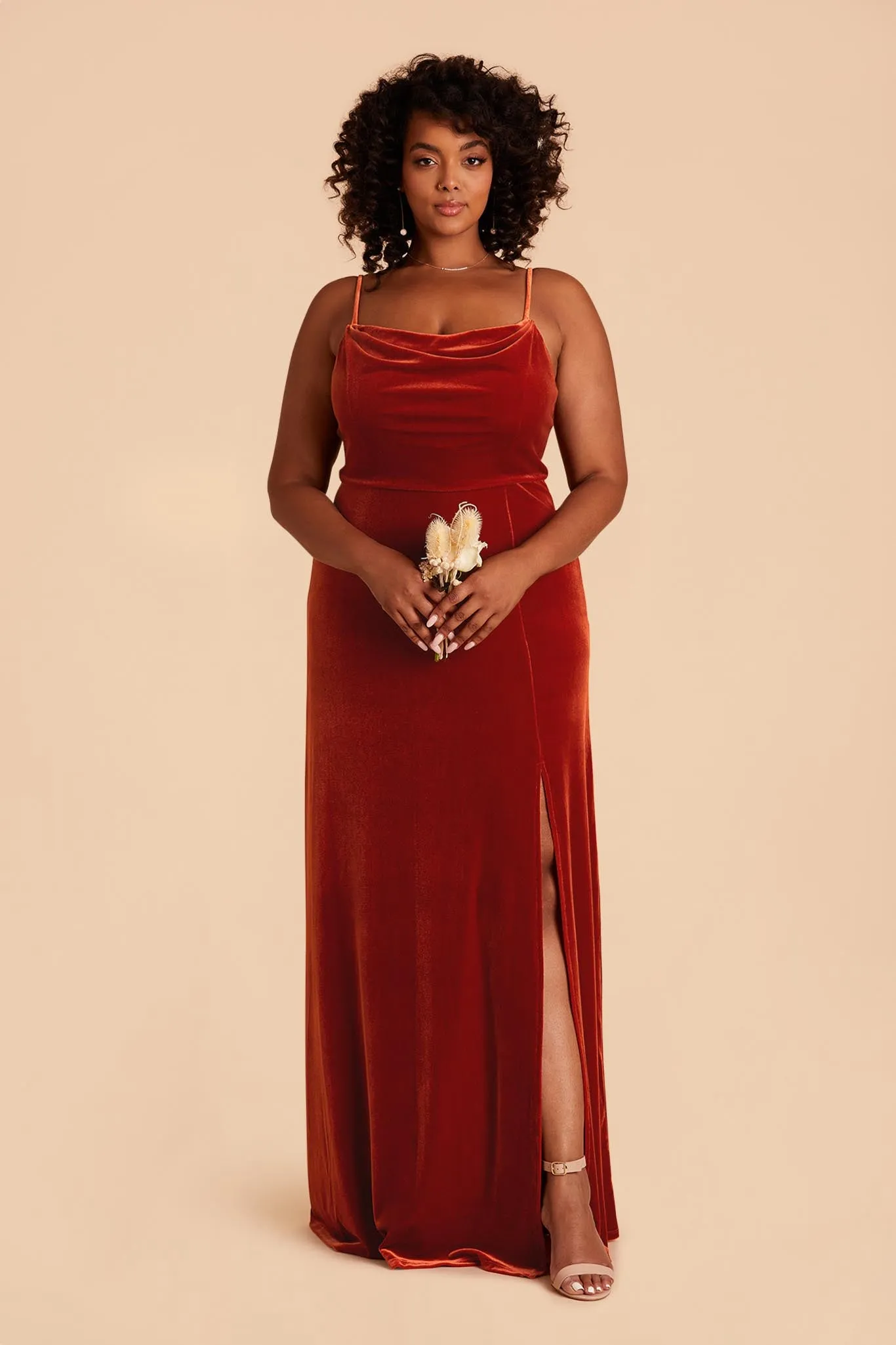 Ash Velvet Dress - Burnt Orange sold by Birdy Grey product image thumbnail 2