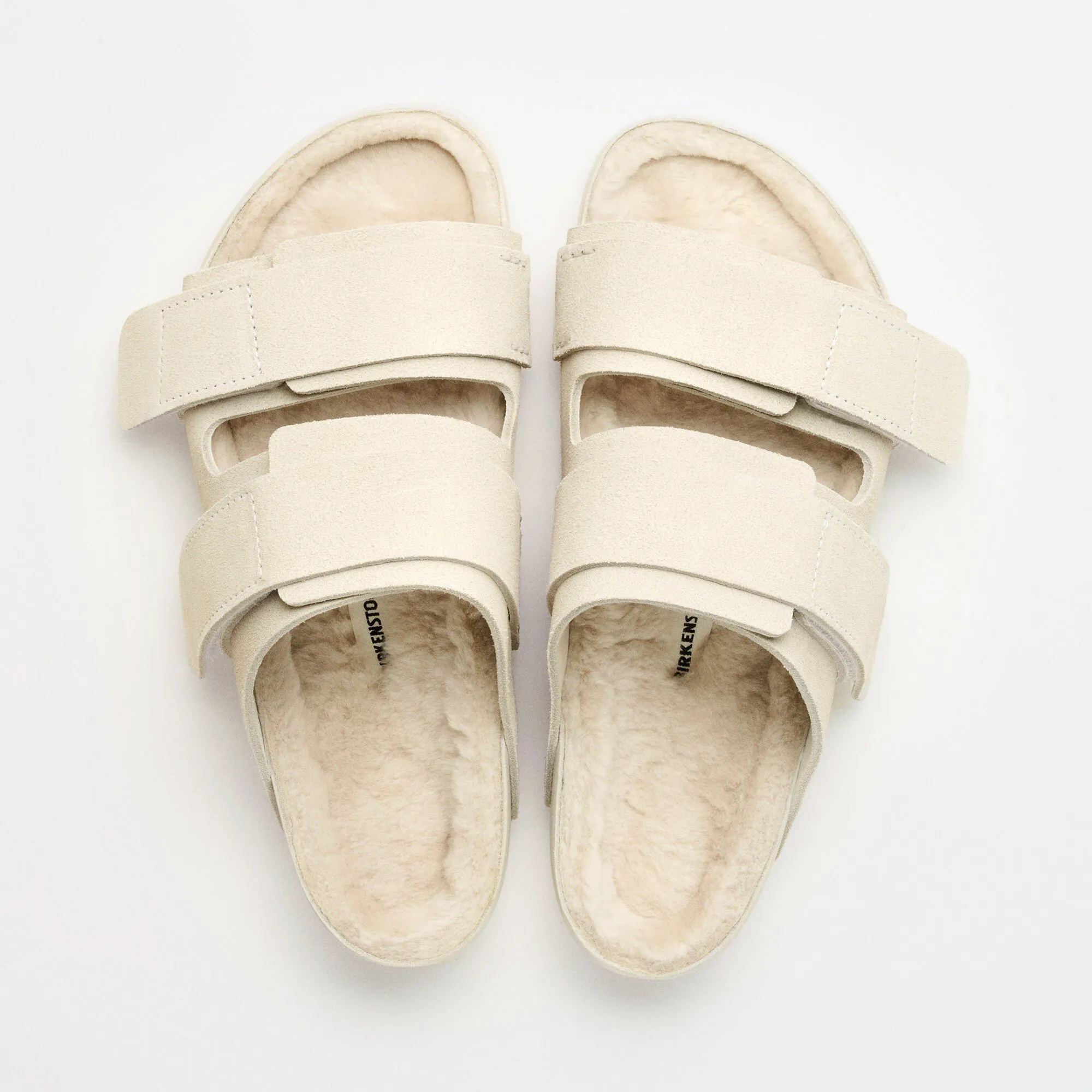 Uji Suede Tekla sold by Birkenstock
