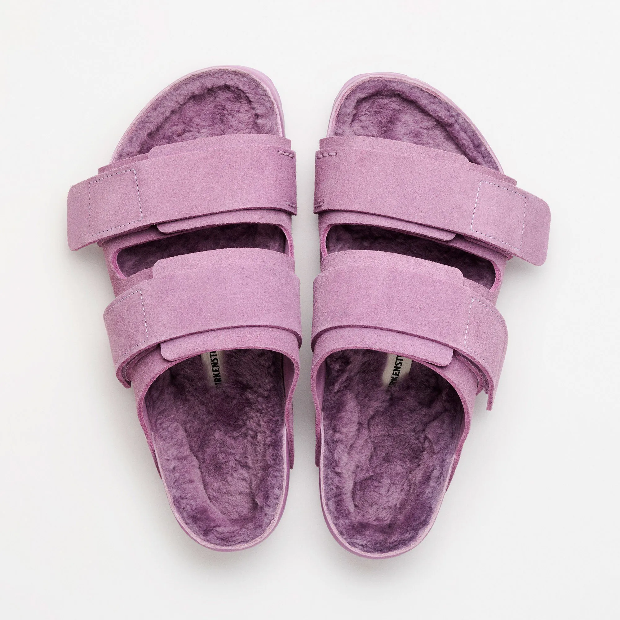 Uji Suede Tekla sold by Birkenstock