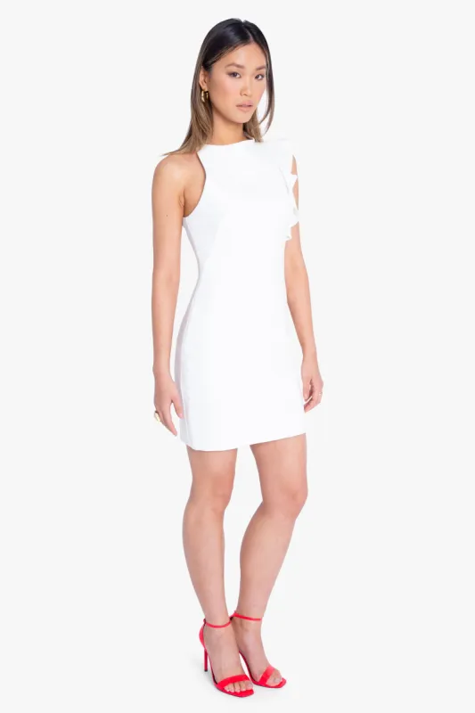 Pabla Mini Dress made by Black Halo