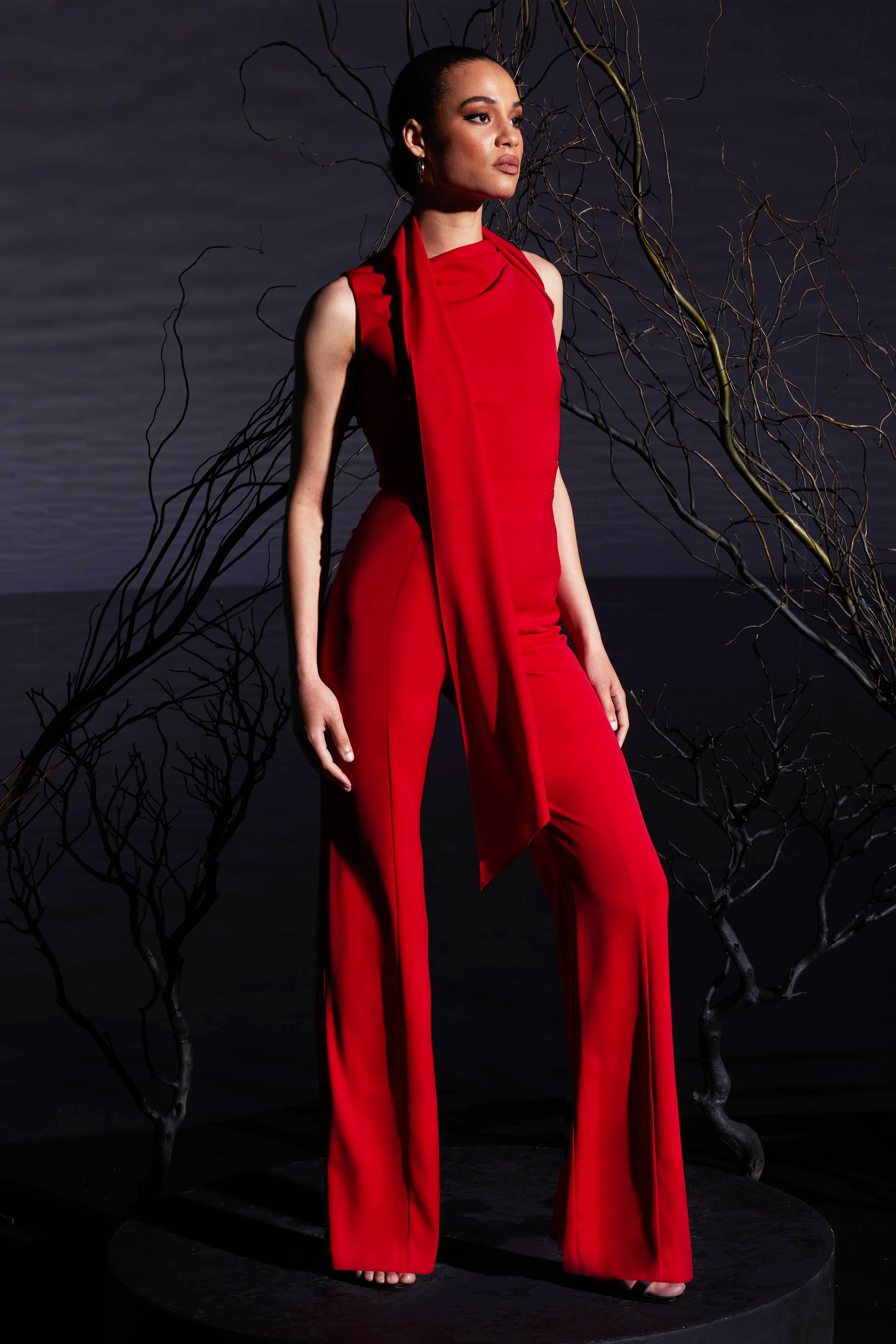 Enola Jumpsuit sold by Black Halo product image thumbnail 2