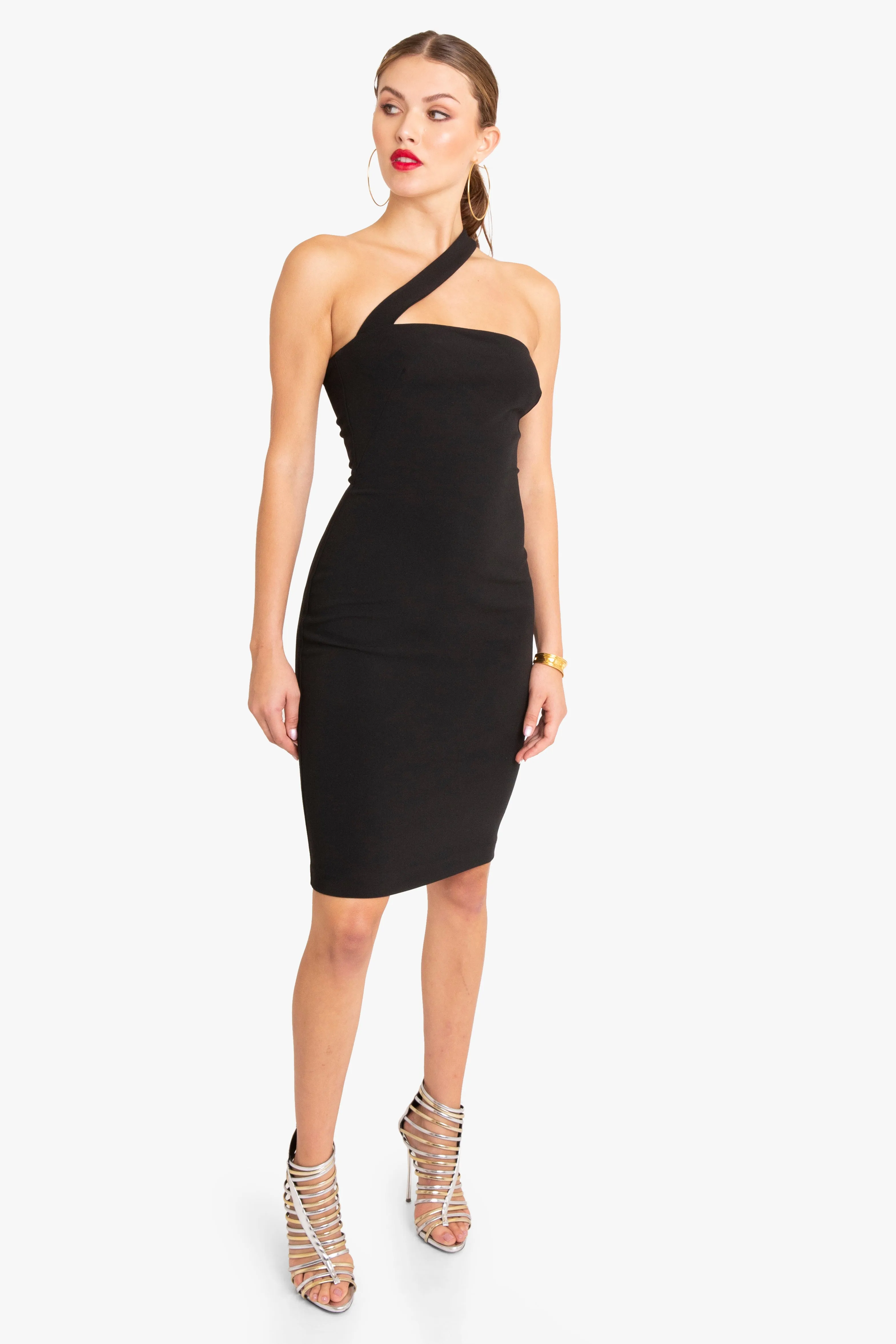 Vintea Sheath Dress sold by Black Halo product image thumbnail 5
