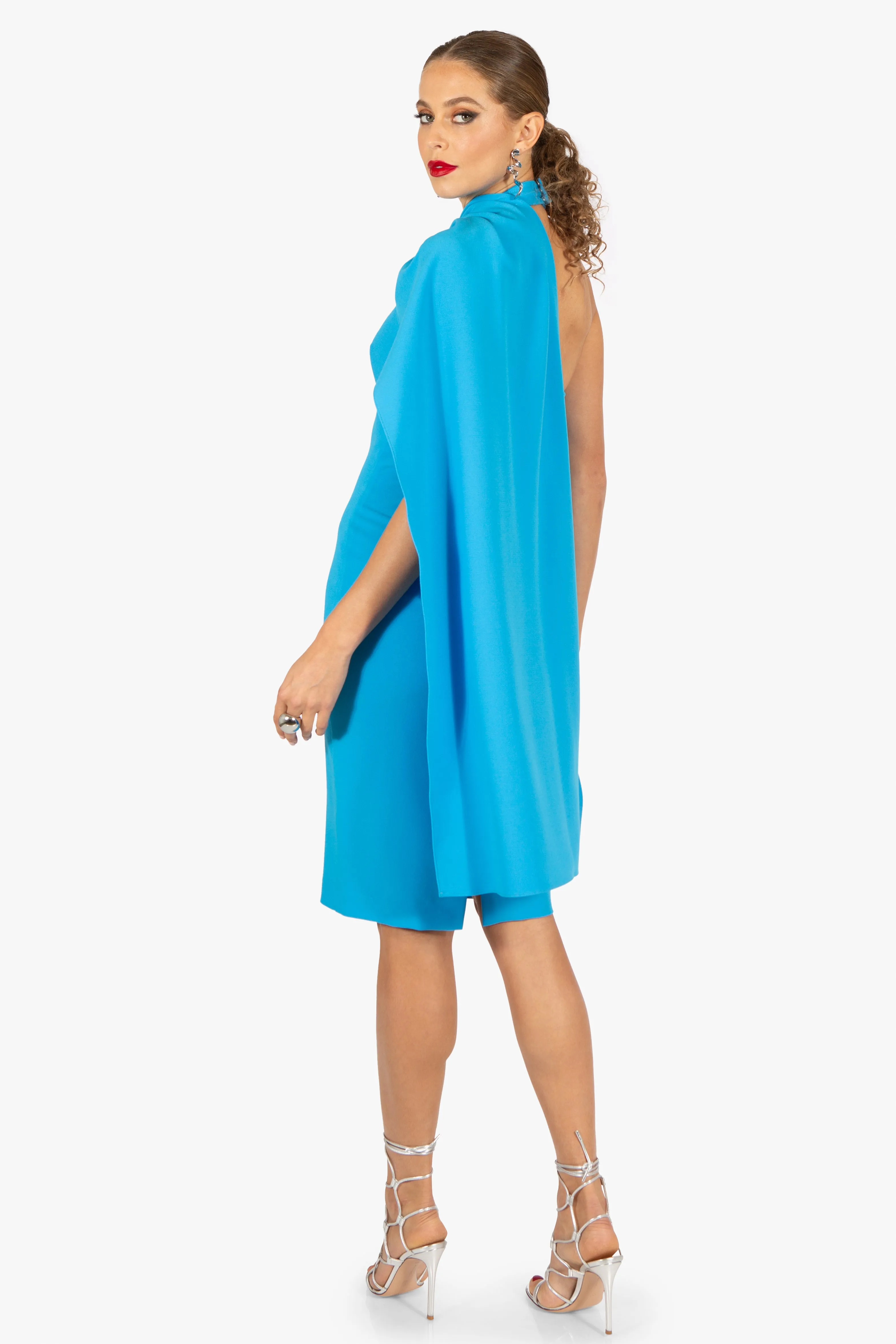 Zion Cocktail Sheath Dress sold by Black Halo product image thumbnail 4