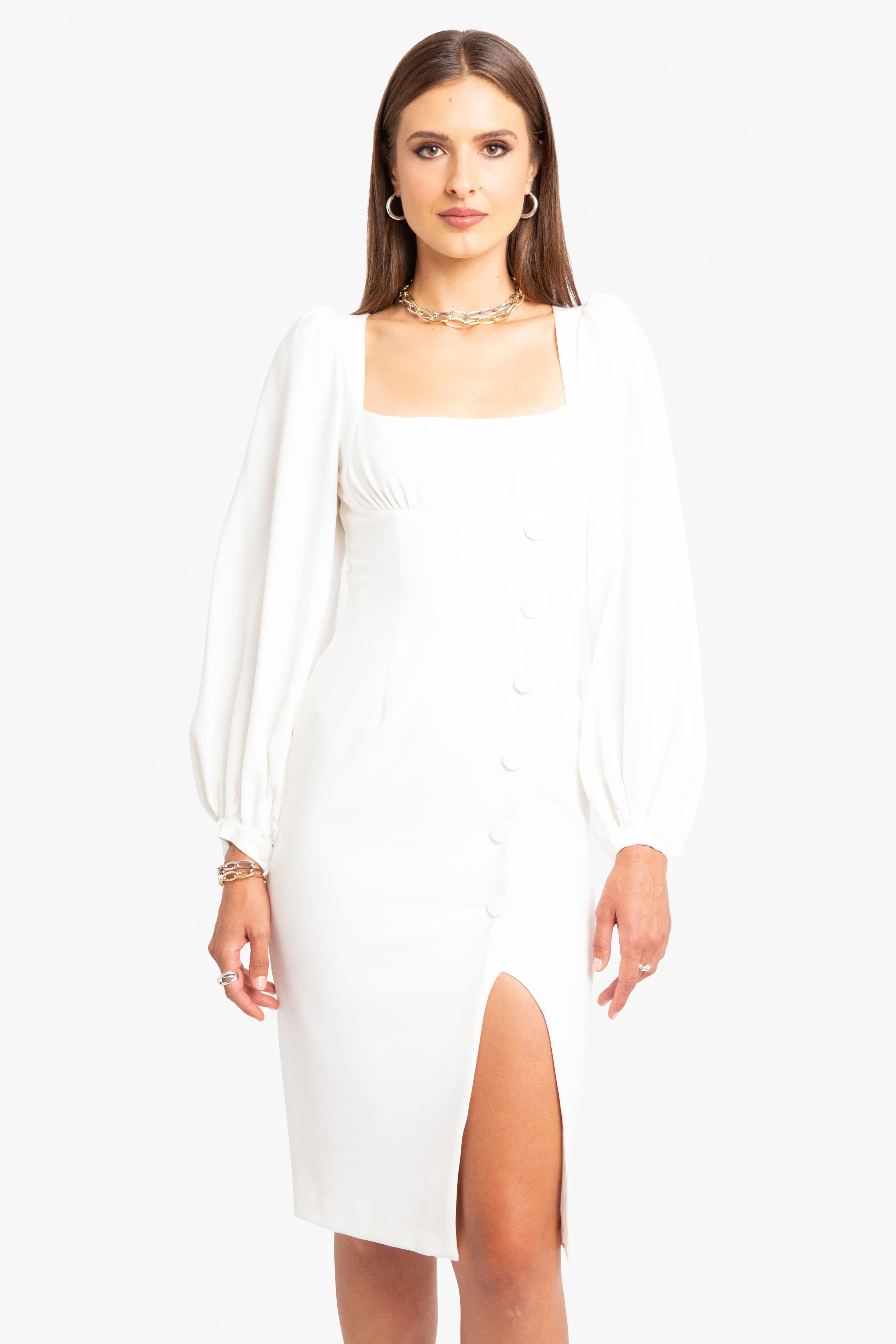 Aileene Sheath Dress sold by Black Halo product image thumbnail 4