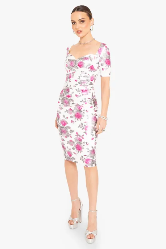 Amandalee Cocktail Sheath made by Black Halo