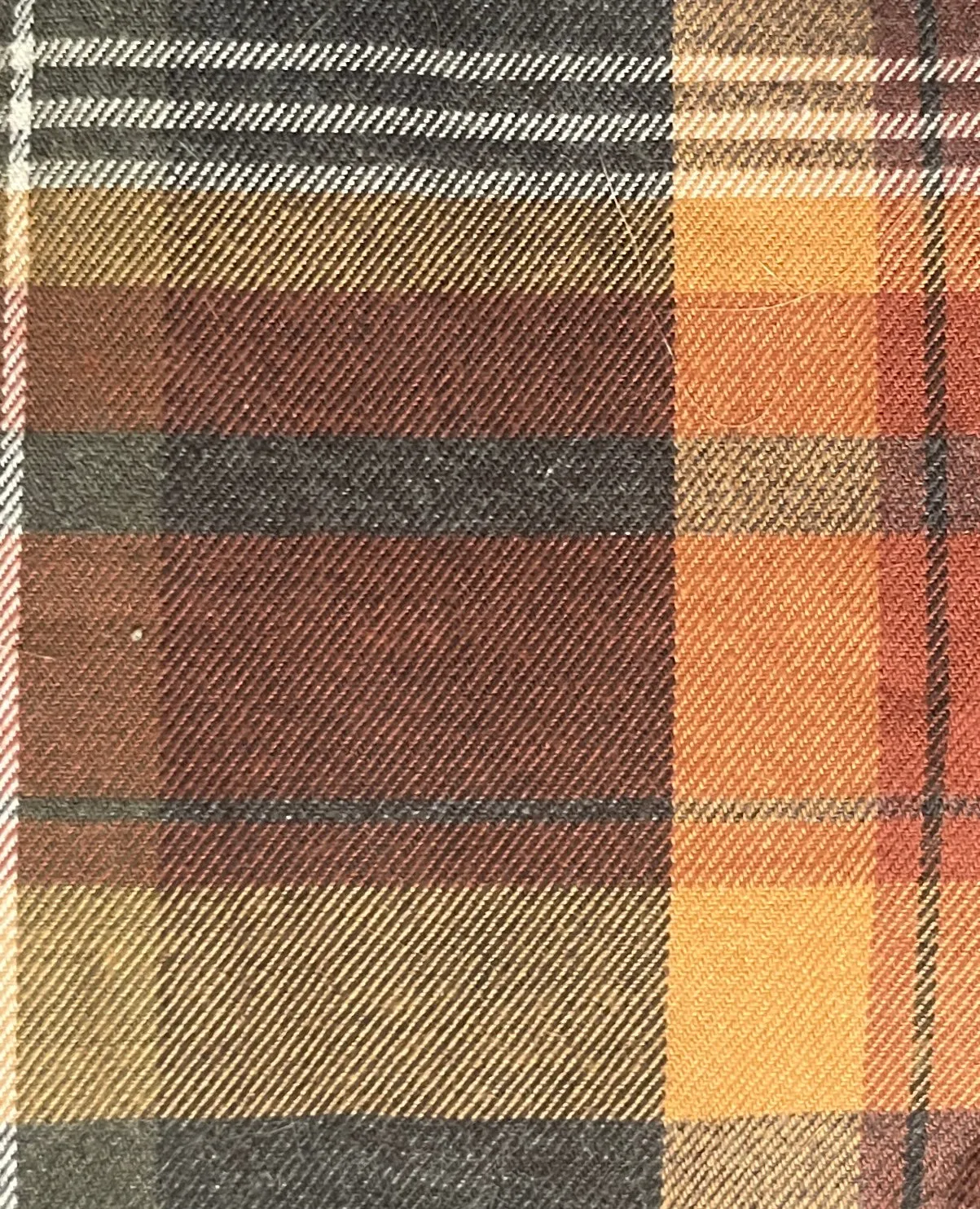 ISAAC Long Sleeve Shirt in Brushed Cotton Earthtone Plaid (Size L) sold by Blade + Blue product image thumbnail 3