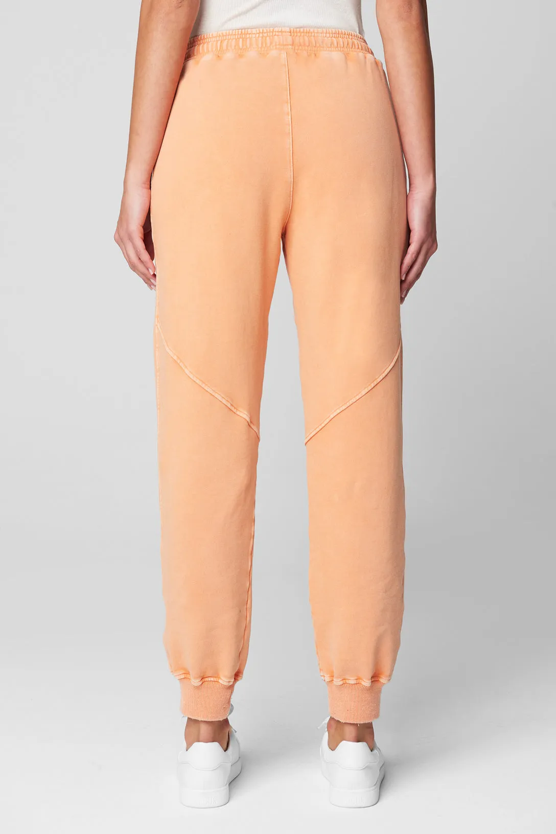 Power Hour Sweatpant sold by BlankNYC product image thumbnail 4