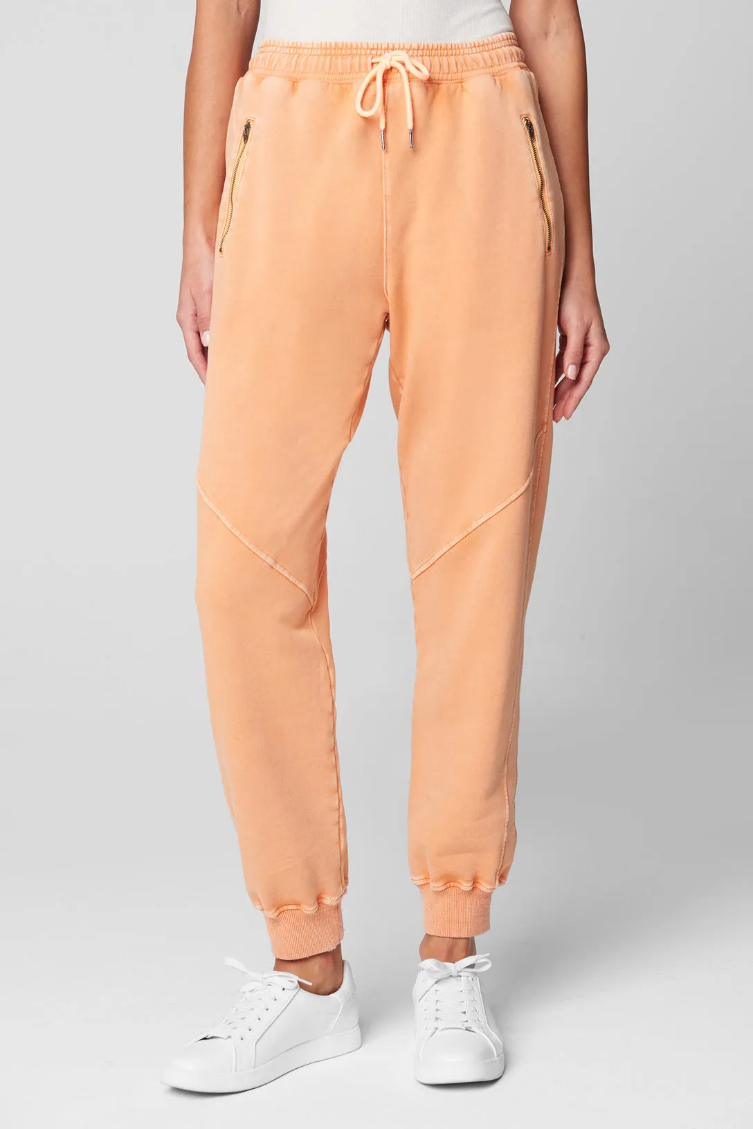 Power Hour Sweatpant sold by BlankNYC product image thumbnail 2