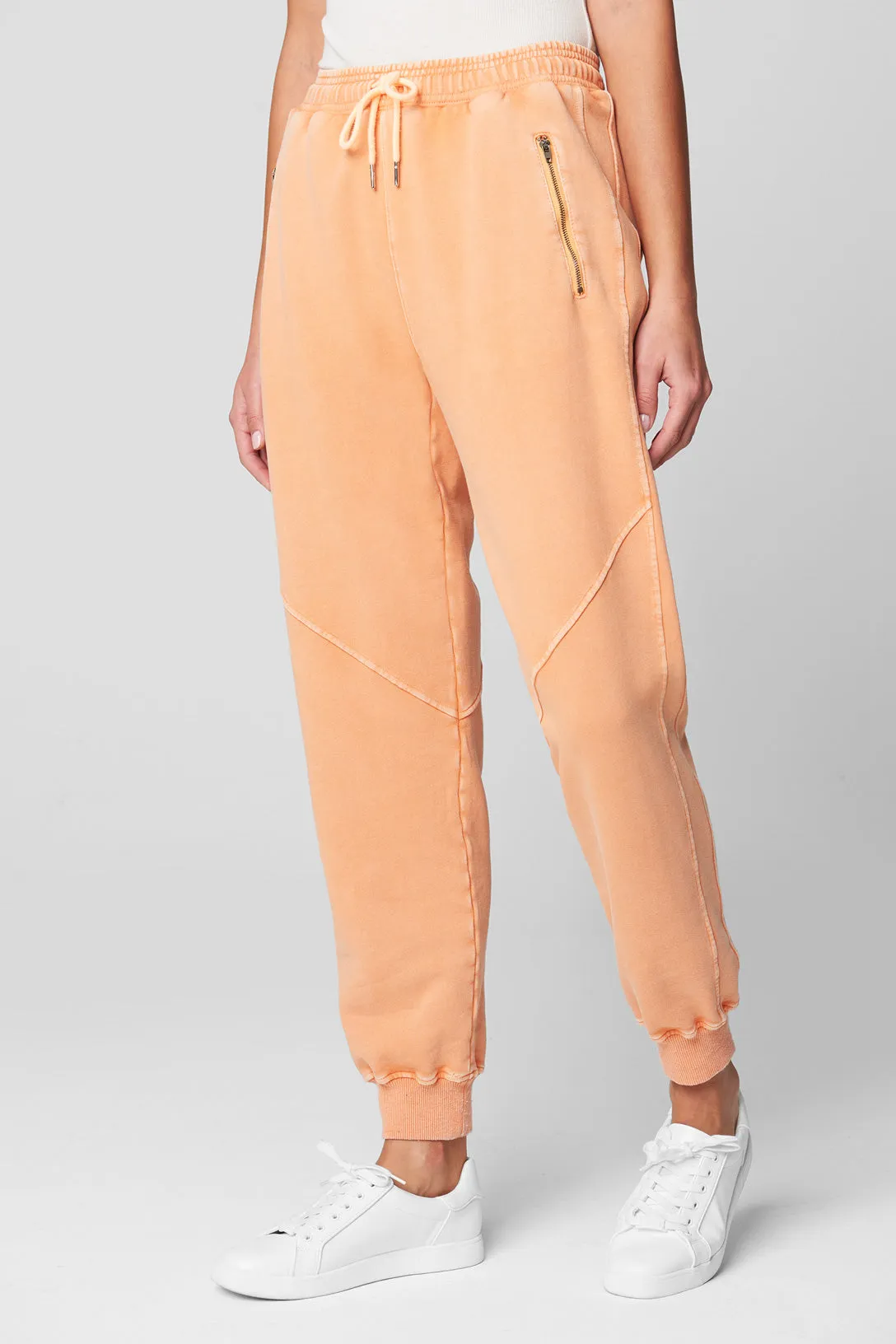 Power Hour Sweatpant sold by BlankNYC product image thumbnail 3