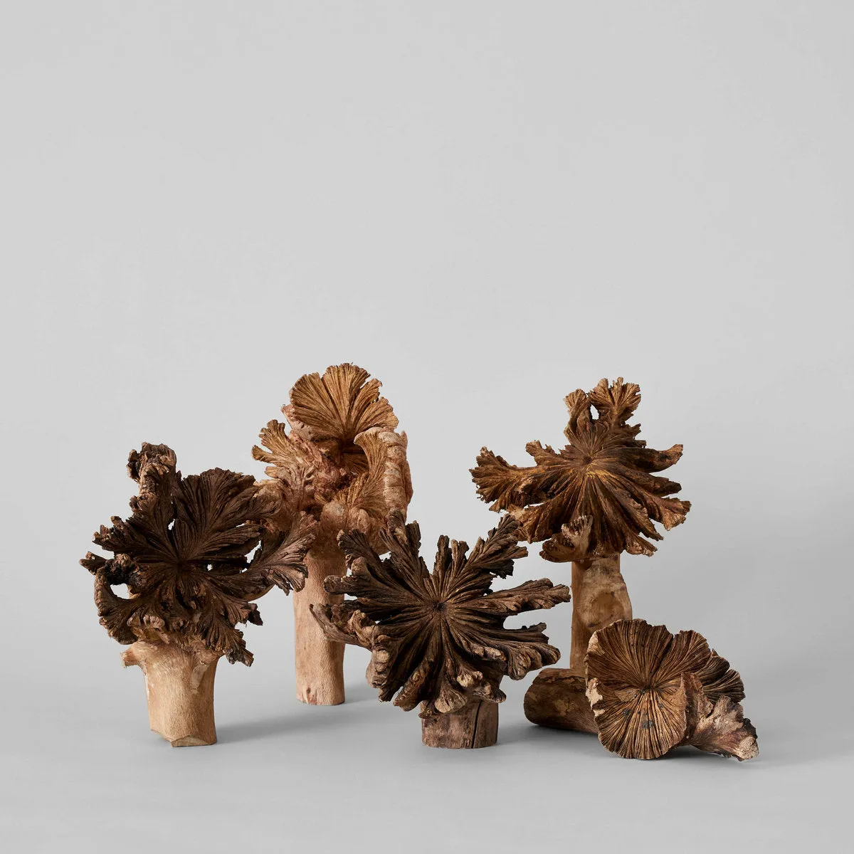 Rare Wood Flower sold by Bloomist