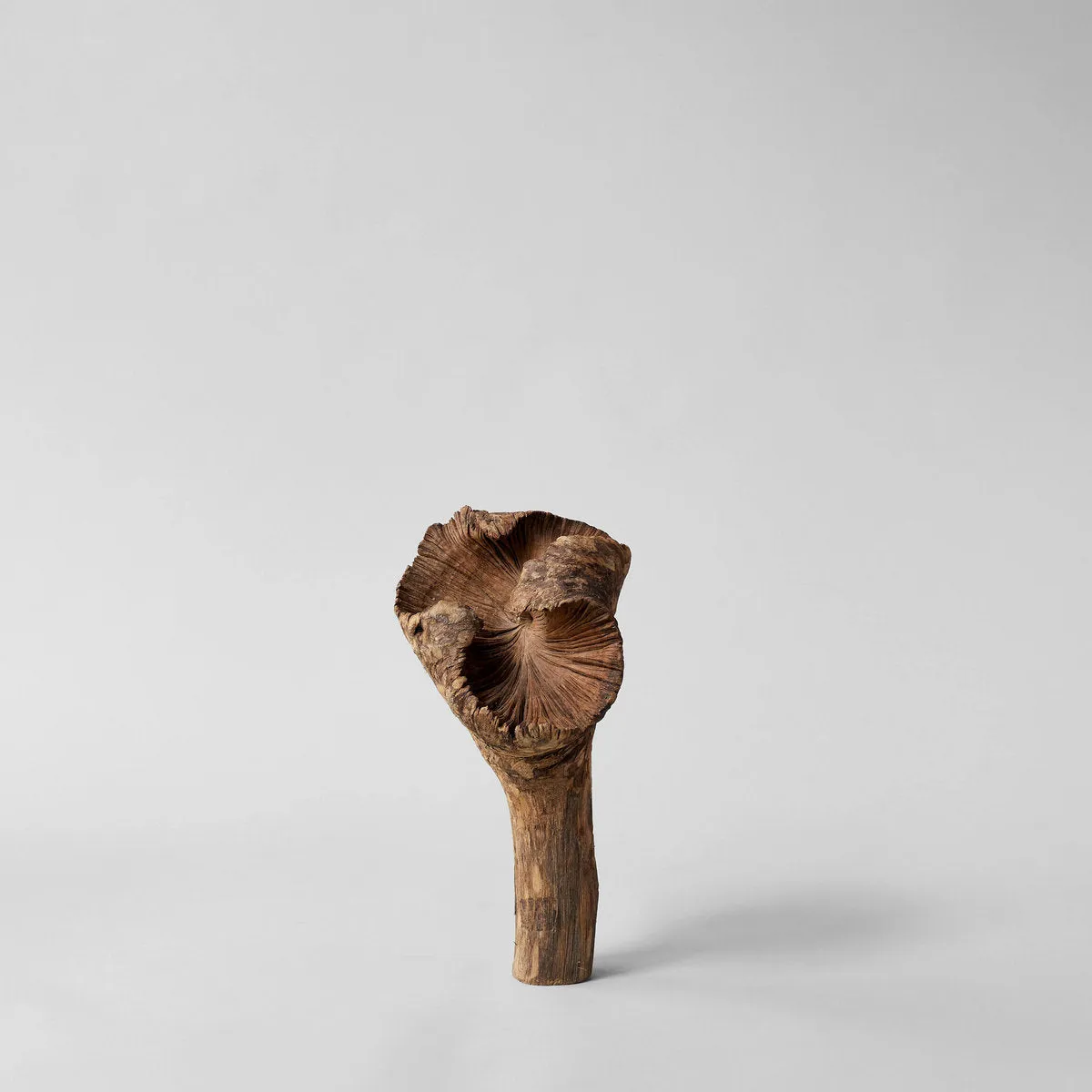 Rare Wood Flower sold by Bloomist product image thumbnail 3