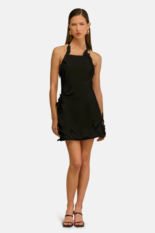 Elliana Dress Black sold by Blue & Cream