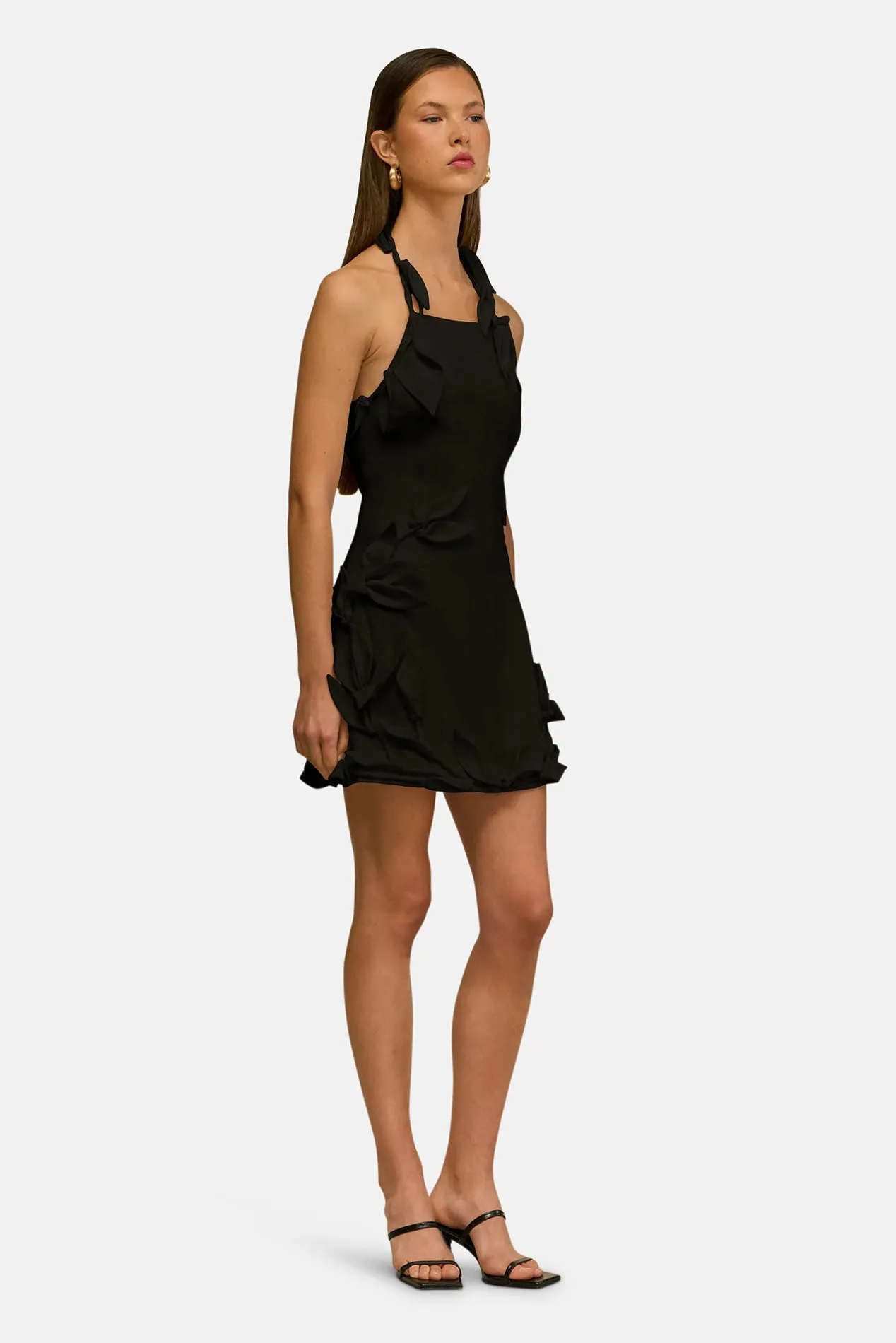 Elliana Dress Black sold by Blue & Cream product image thumbnail 2