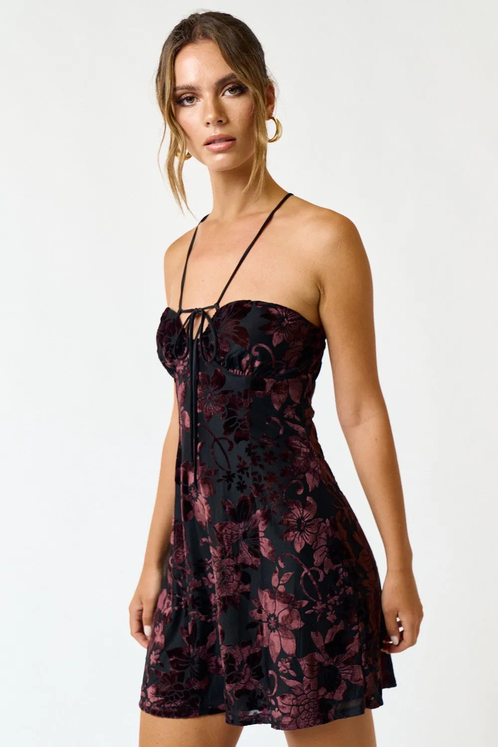 BD23276 sold by Blue Blush product image thumbnail 4