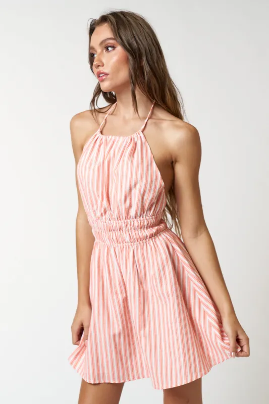 IBD29172 sold by Blue Blush