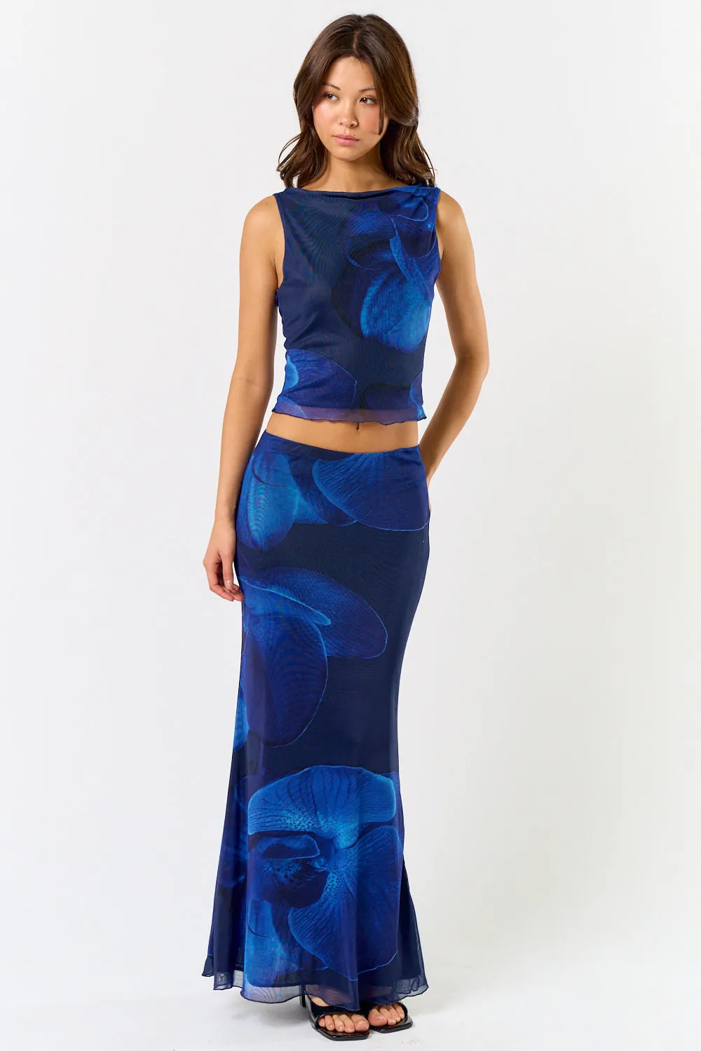 BS113 sold by Blue Blush product image thumbnail 4