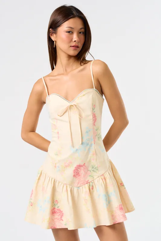 IBD33379 sold by Blue Blush