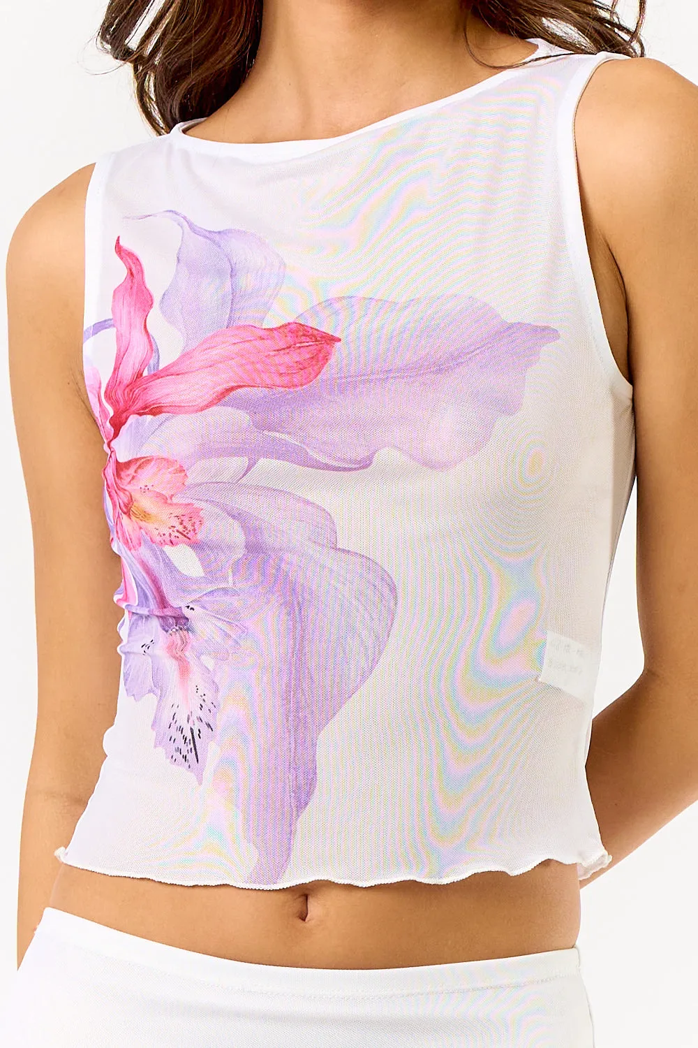 BS25257 sold by Blue Blush product image thumbnail 2