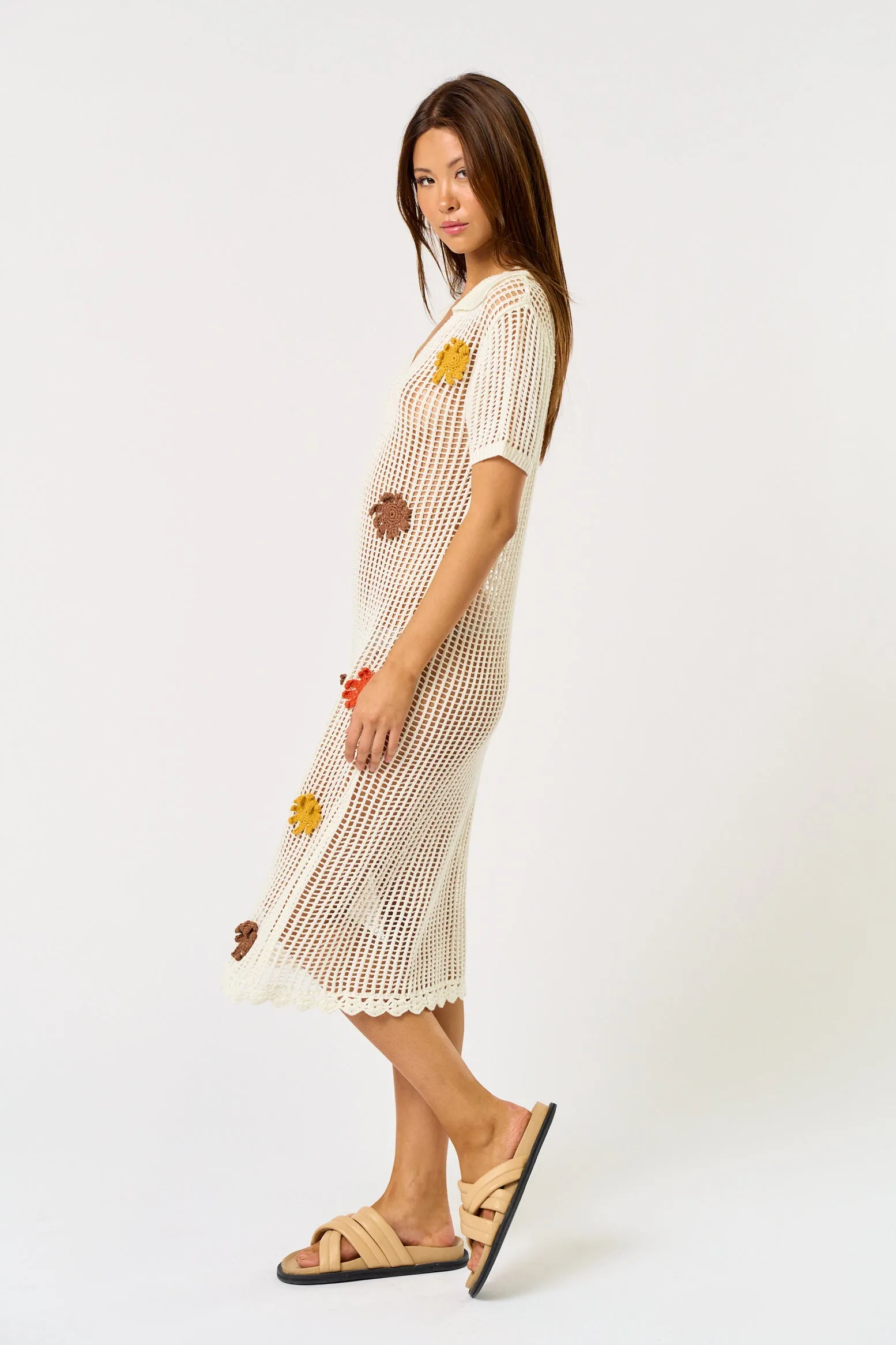 IBD33230 sold by Blue Blush product image thumbnail 4