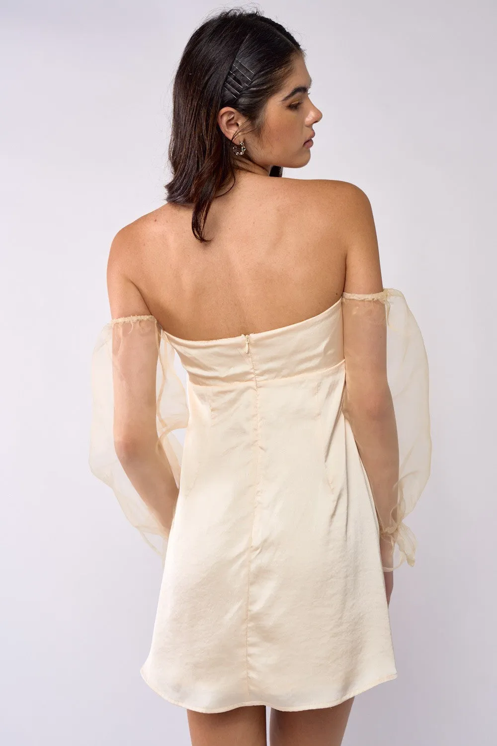 IBD26124 sold by Blue Blush product image thumbnail 3