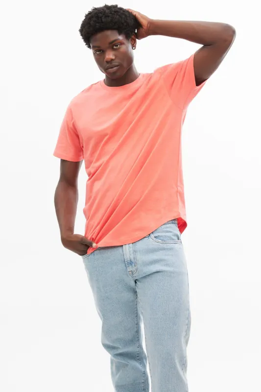 Basic Scoop Hem Crew Neck Tee sold by Bluenotes