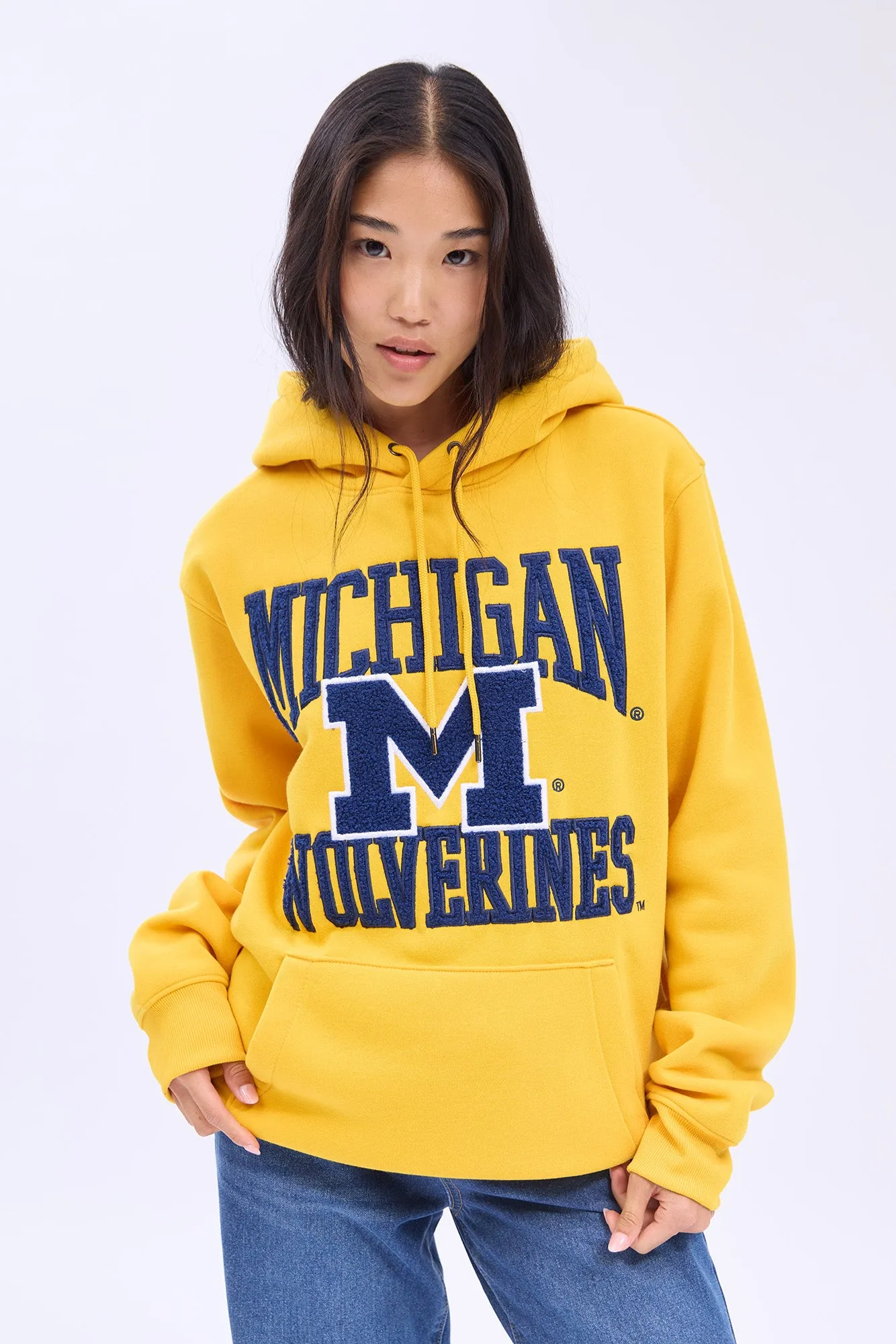 Michigan Wolverines Pullover Hoodie sold by Bluenotes product image thumbnail 2