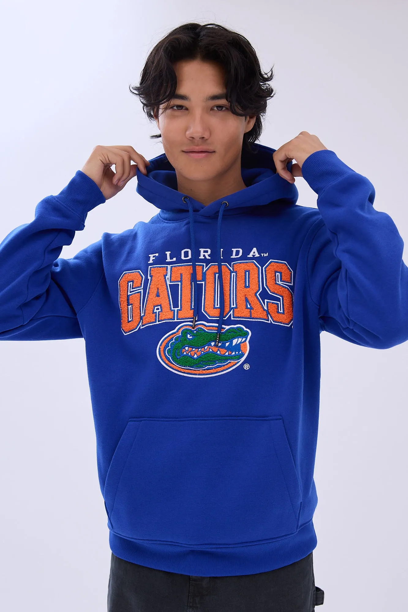 Florida Gators Chenille Graphic Hoodie sold by Bluenotes